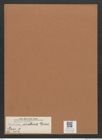 Navicula arabica Grun. (de-Toni-Nr.: Genus 1, Species 451) Zeichnungen Sammlung Grunow Mappe 00398 (Herbarium_W_Grunow_drawings_Folder_00398)